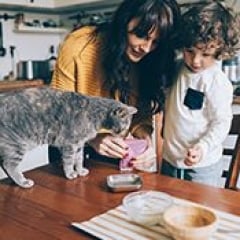 Alimentation du chat